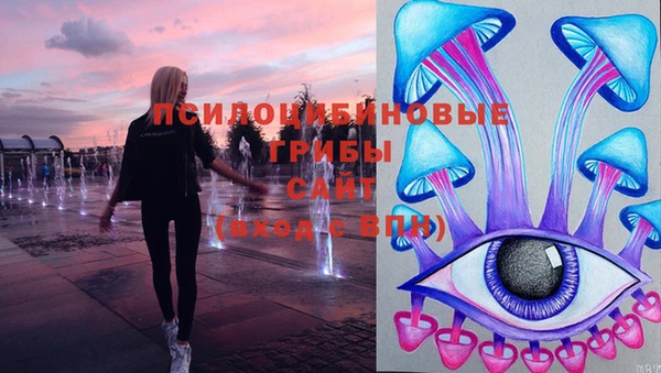MDMA Premium VHQ Бронницы