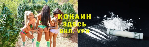 мяу мяу кристалл Бородино