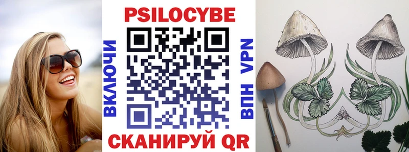 Купить где Барабинск Галлюциногенные грибы Psilocybe