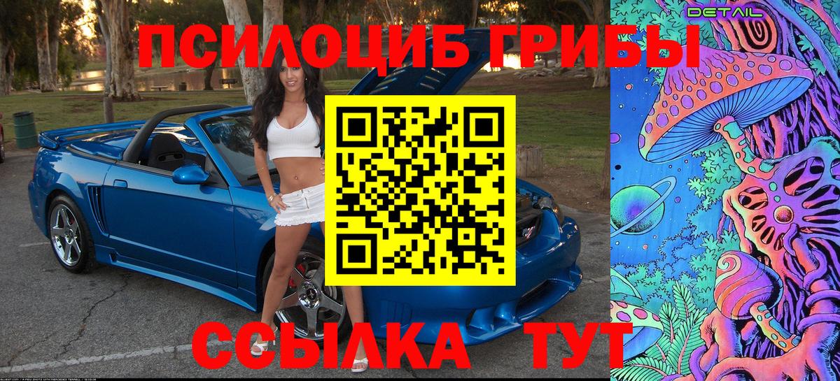 Псилоцибиновые грибы Psilocybe  Барабинск  Галлюциногенные грибы мицелий 