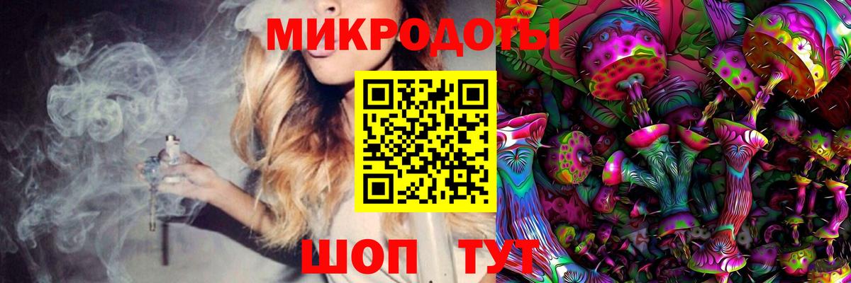 Галлюциногенные грибы Psilocybe Барабинск